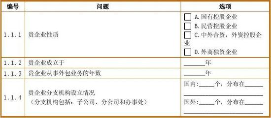 軟件與信息服務外包 現代企業的戰略選擇