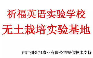 校企攜手，共繪軟件技術教育新篇章